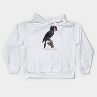 Palm Cockatoo Parrot / L' Ara Noir a Trompe - Jacques Barraband 19th century Illustration Kids Hoodie